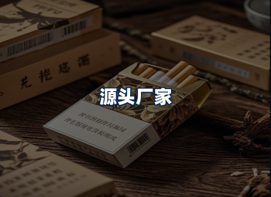 专业团队办公环境